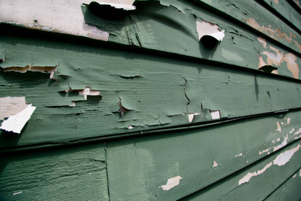 Best Siding for New Construction  in New Hackensack, NY