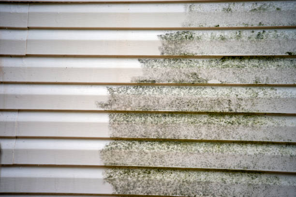 Best Historical Building Siding Restoration  in New Hackensack, NY